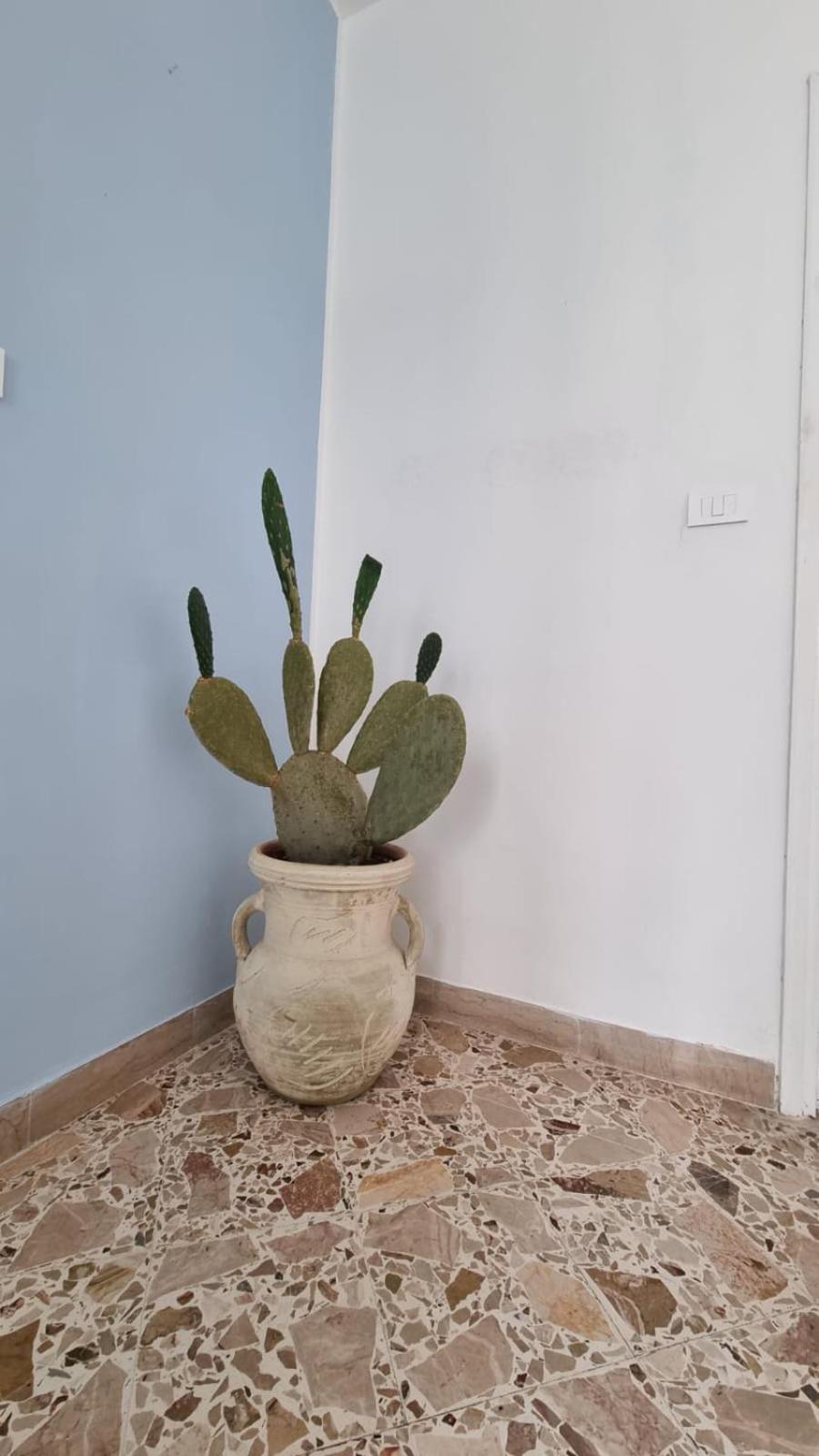 Il Fico D'India Apartamento Marsala Exterior foto